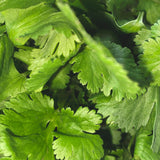 DIFFUSEUR CORIANDRE 200 ML 318 L:A BRUKET