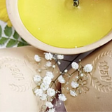 BOUGIE D'EXTERIEUR POT DES LANDES CITRONNELLE BIO JAUNE PALE