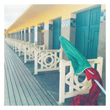 PHOTO LE REMPLAÇANT