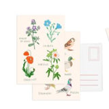 CARTES POSTALES LES FLEURS - ZOE DE LAS CASES