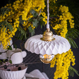 LISETTE 2 - SANDRINE TORTIKIAN