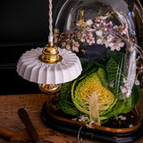 LISETTE 1 - SANDRINE TORTIKIAN