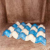 REPOSE 12 OEUFS - DAMIER BLEU