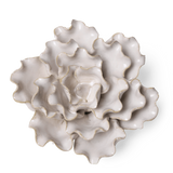 CERAMIC FLOWER IVORY SEA LETTUCE MEDIUM