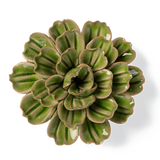 CERAMIC FLOWER GREEN PETUNIA