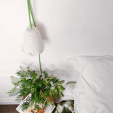 BALADEUSE MADELEINE - FIL BRONTE GREEN