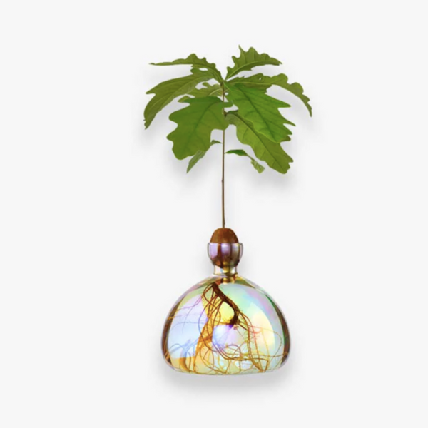 VASE À CHÊNE ASTRA