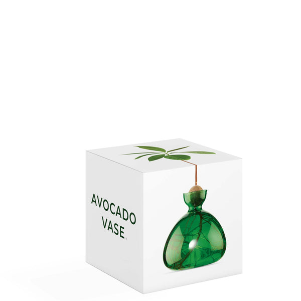 VASE À AVOCAT VERT BOUTEILLE