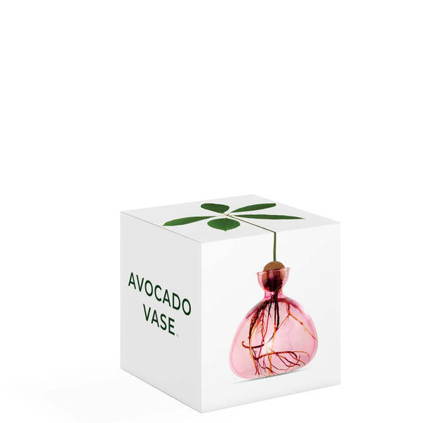 VASE À AVOCAT ROSE