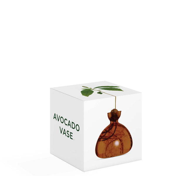 VASE À AVOCAT BRUN