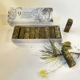 COFFRET INITIATION L'OURS - TOTEM NATURE