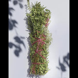 PETIT BOUQUET DU HÉRISSON BIO - TOTEM NATURE