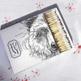 COFFRET INITIATION L'OURS - TOTEM NATURE