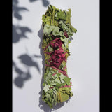 PETIT BOUQUET DU LIÈVRE BIO - TOTEM NATURE