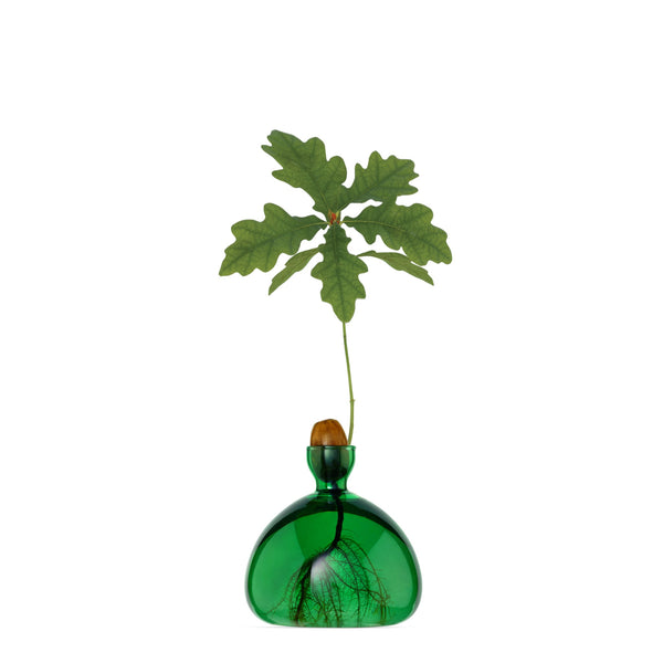 VASE À CHÊNE VERT BOUTEILLE