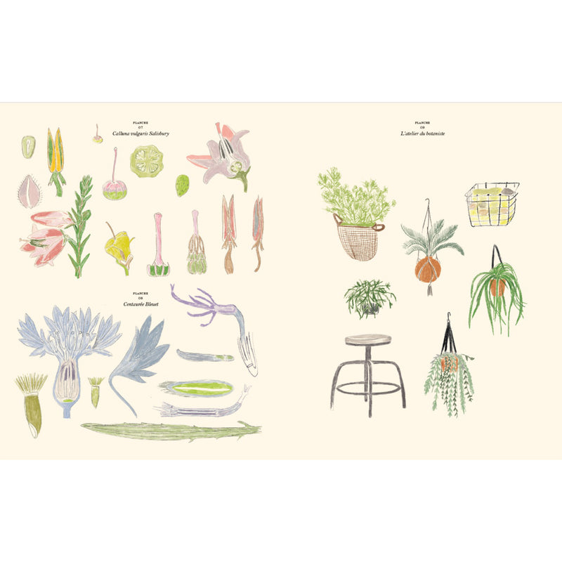 CARNET DE COLORIAGES ET DE STICKERS LE JARDIN - ZOE DE LAS CASES