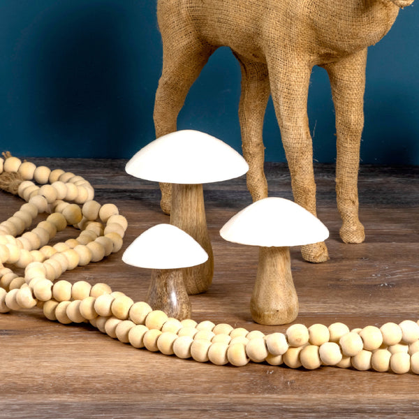 CHAMPIGNON EN MANGUIER ET EMAIL - MEDIUM