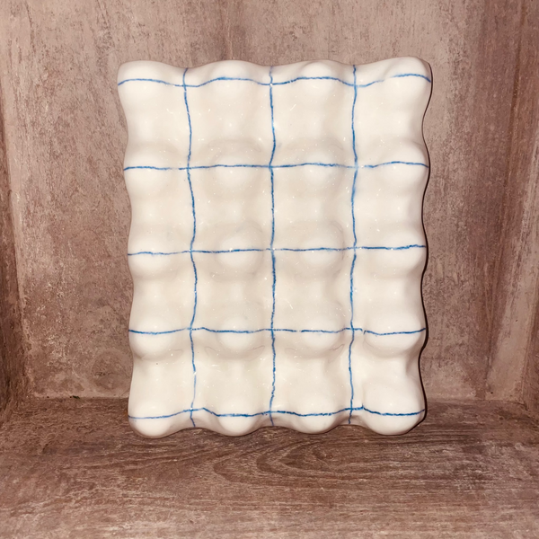REPOSE 12 OEUFS - CARREAUX BLEUS