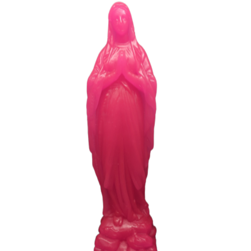 NOTRE DAME ROSE FLUO